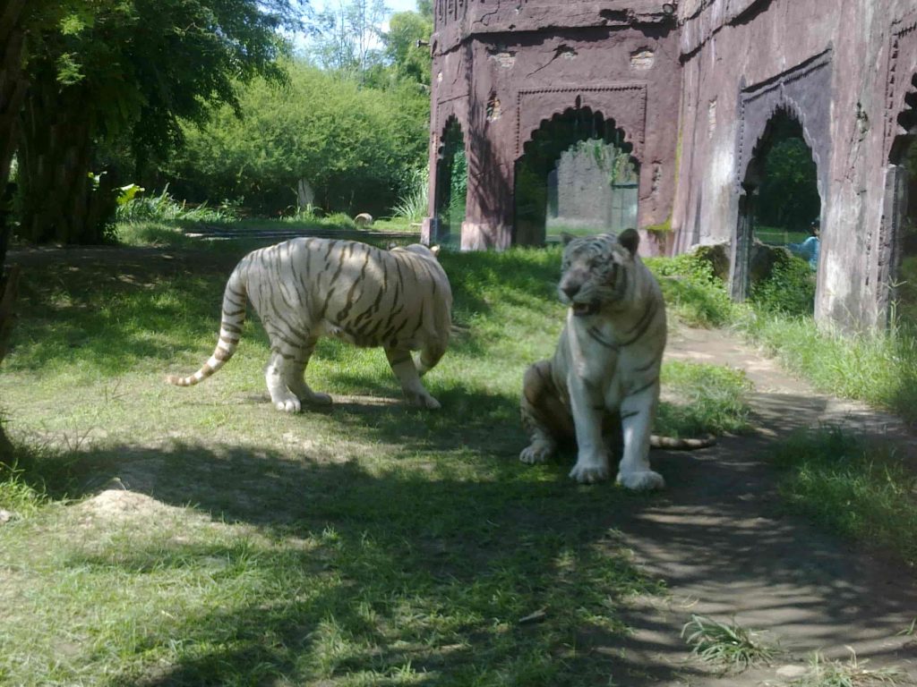 Taman Safari Bali