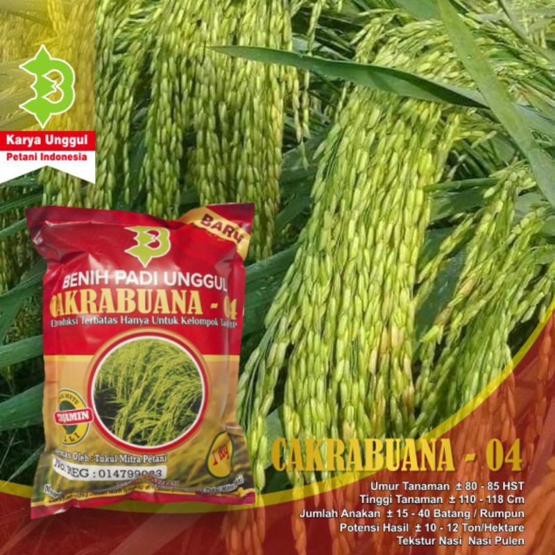 benih cakra buana 04