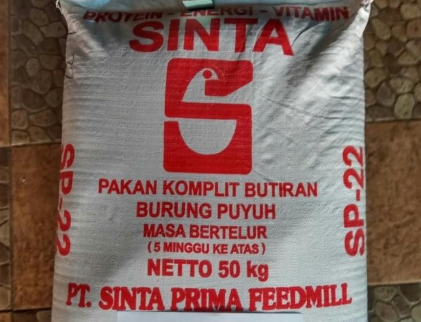 pakan burung puyuh