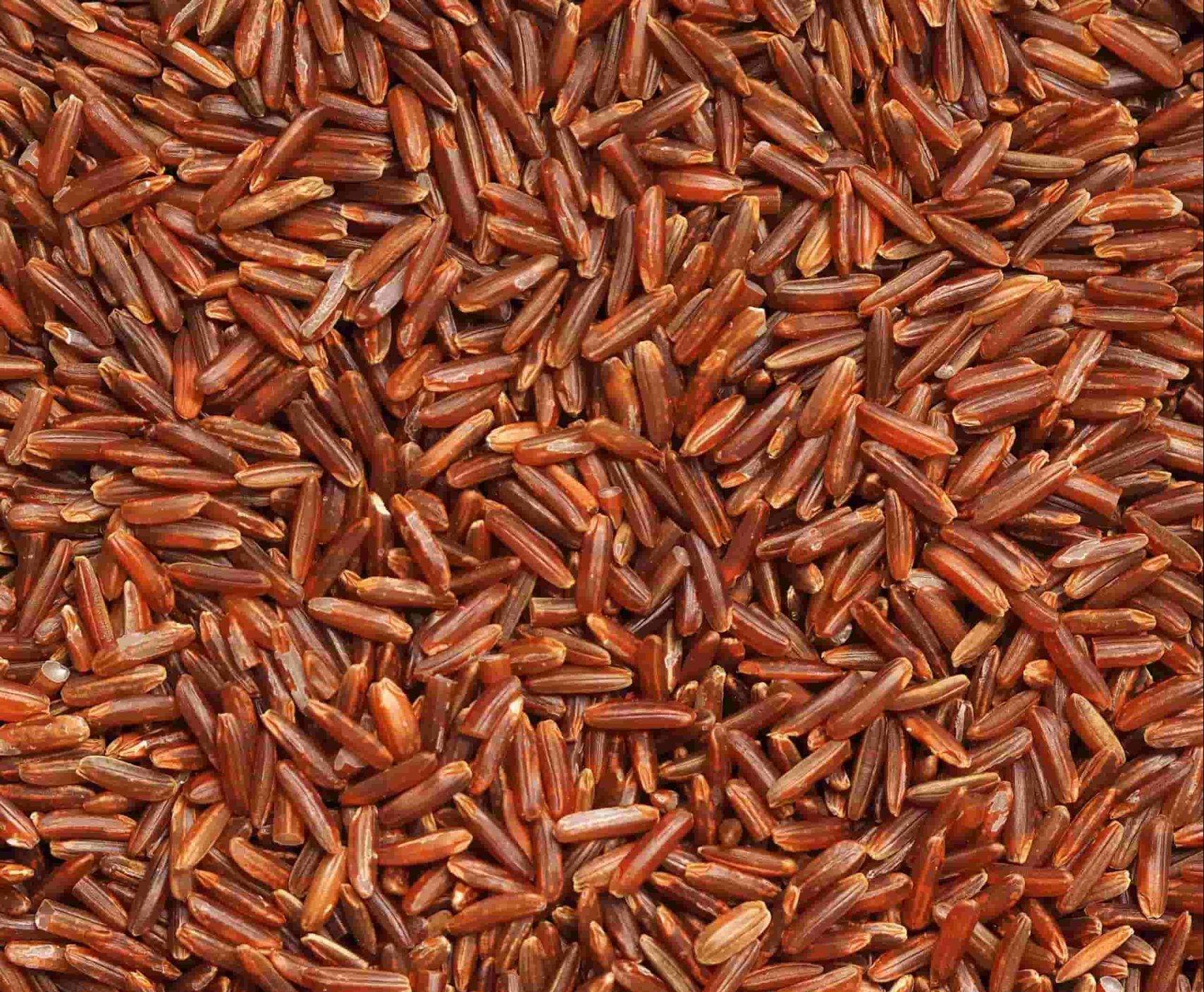 manfaat beras merah