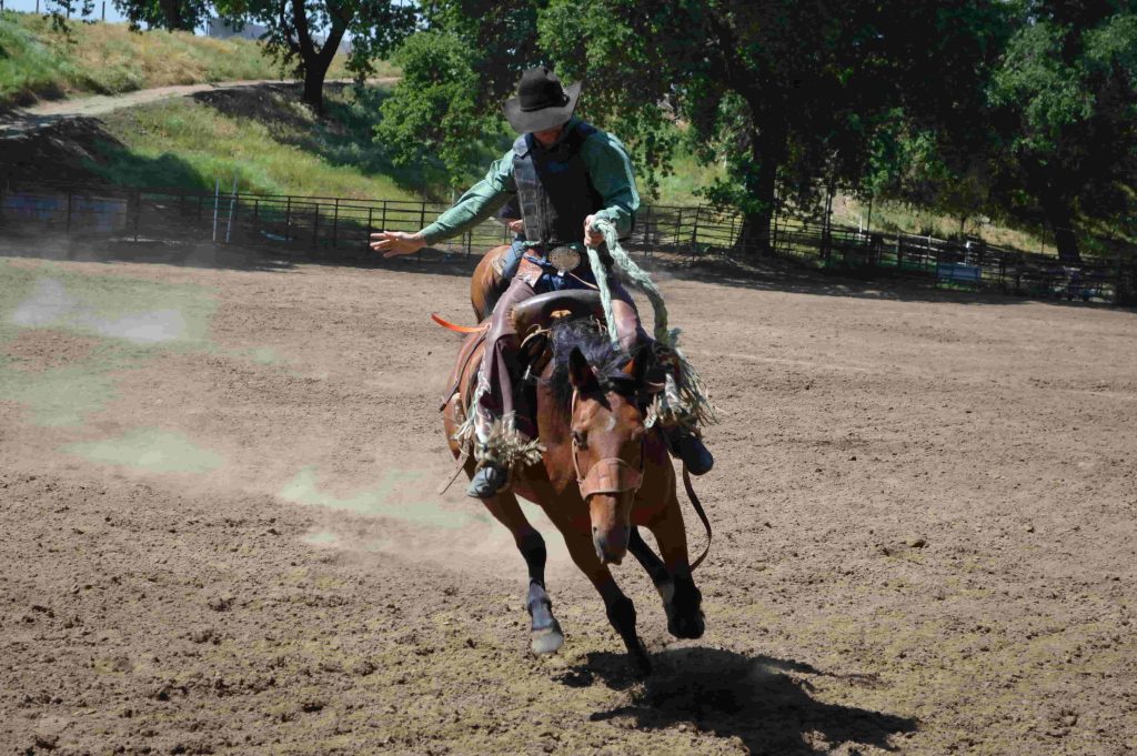 Wisata Ramah Anak Bali Equestrian Centre